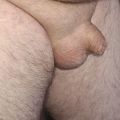Pig85