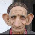 dergan